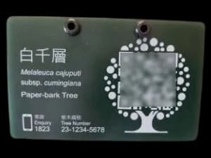 只掃指定樹牌