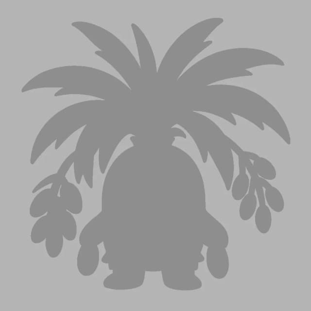 海棗