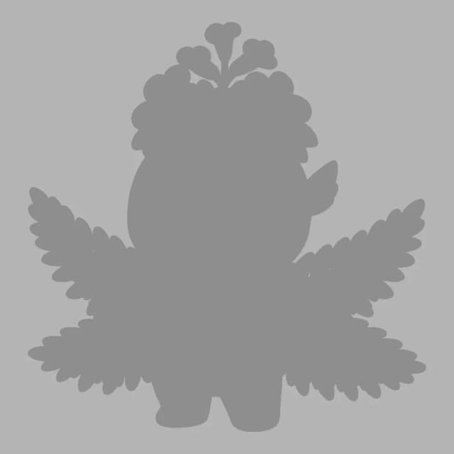 藍花楹